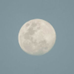 Meet your Posher, Giovanna